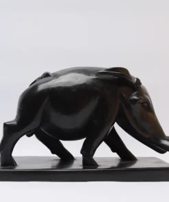 WILDHOG